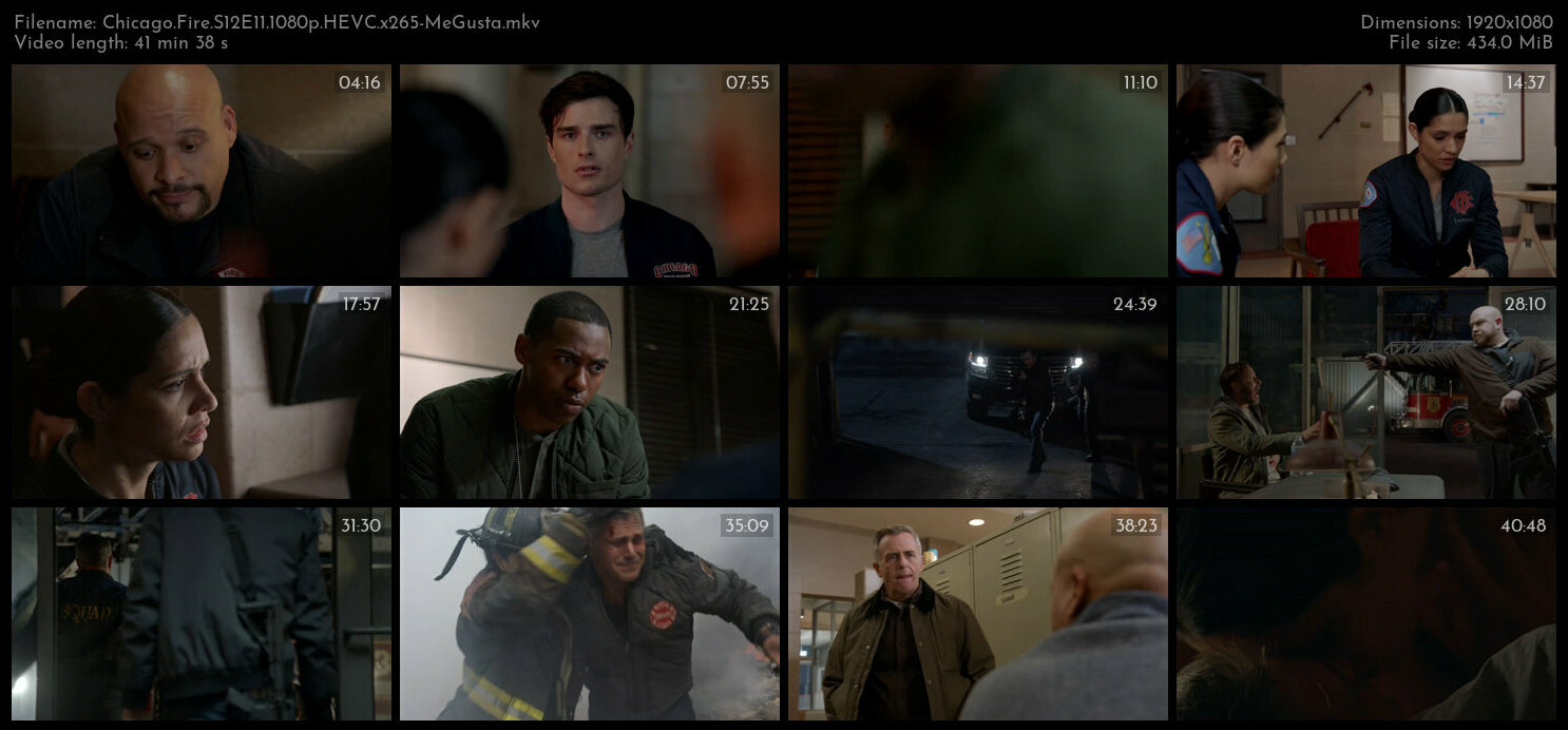 Chicago Fire S12E11 1080p HEVC x265 MeGusta TGx