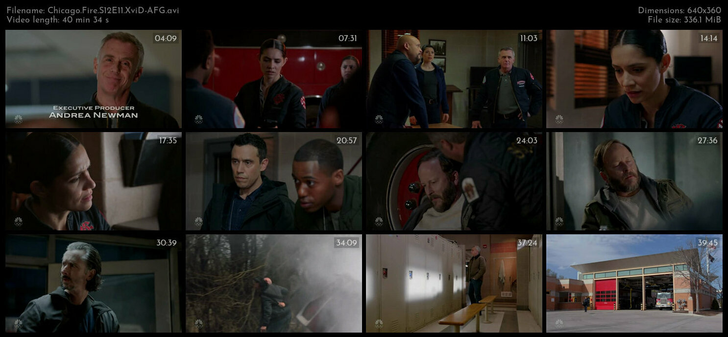 Chicago Fire S12E11 XviD AFG TGx