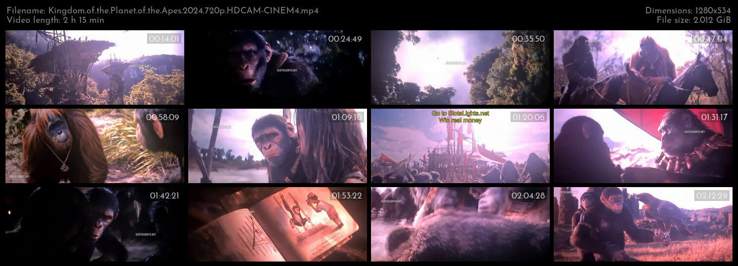 Kingdom of the Planet of the Apes 2024 720p HDCAM C1NEM4