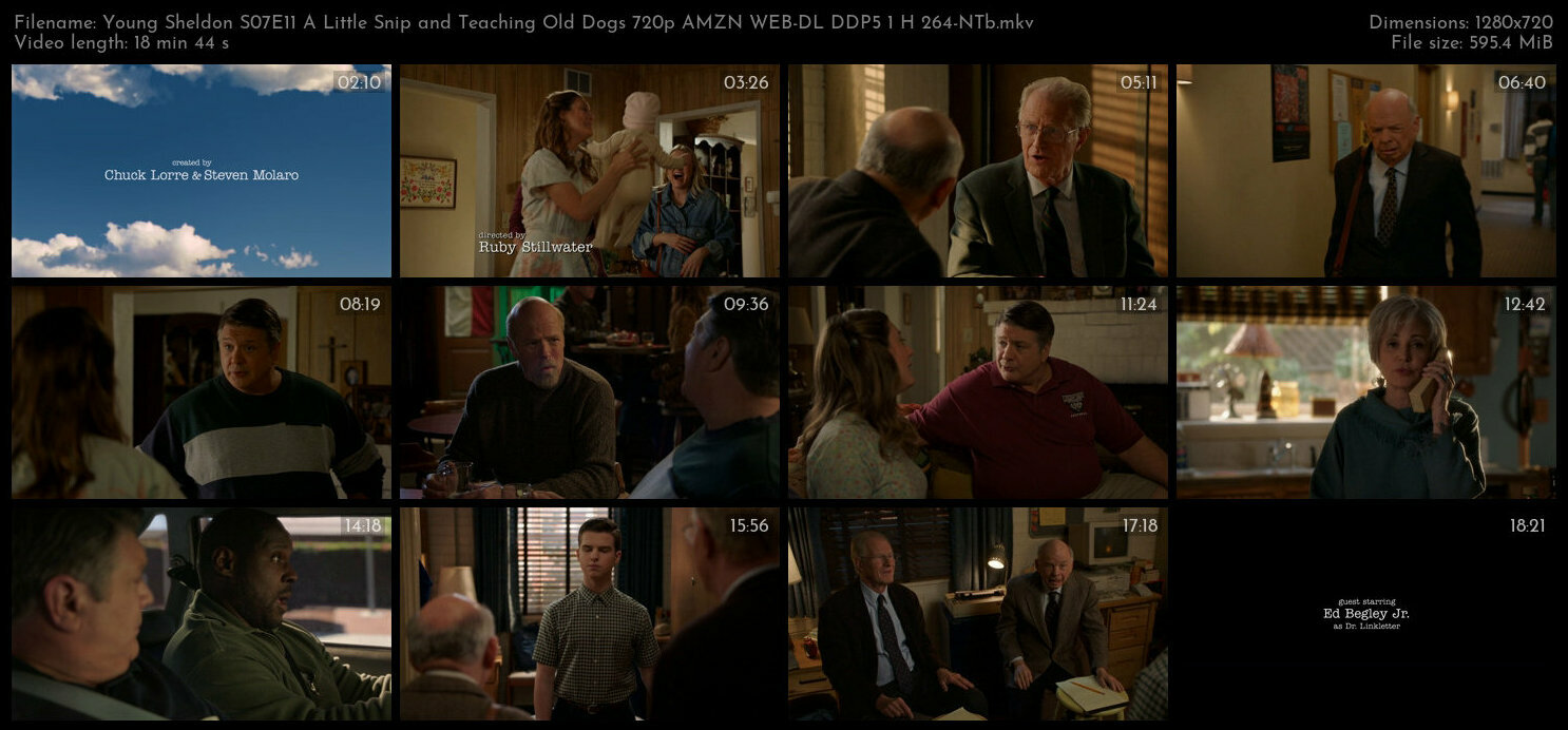 Young Sheldon S07E11 A Little Snip and Teaching Old Dogs 720p AMZN WEB DL DDP5 1 H 264 NTb TGx
