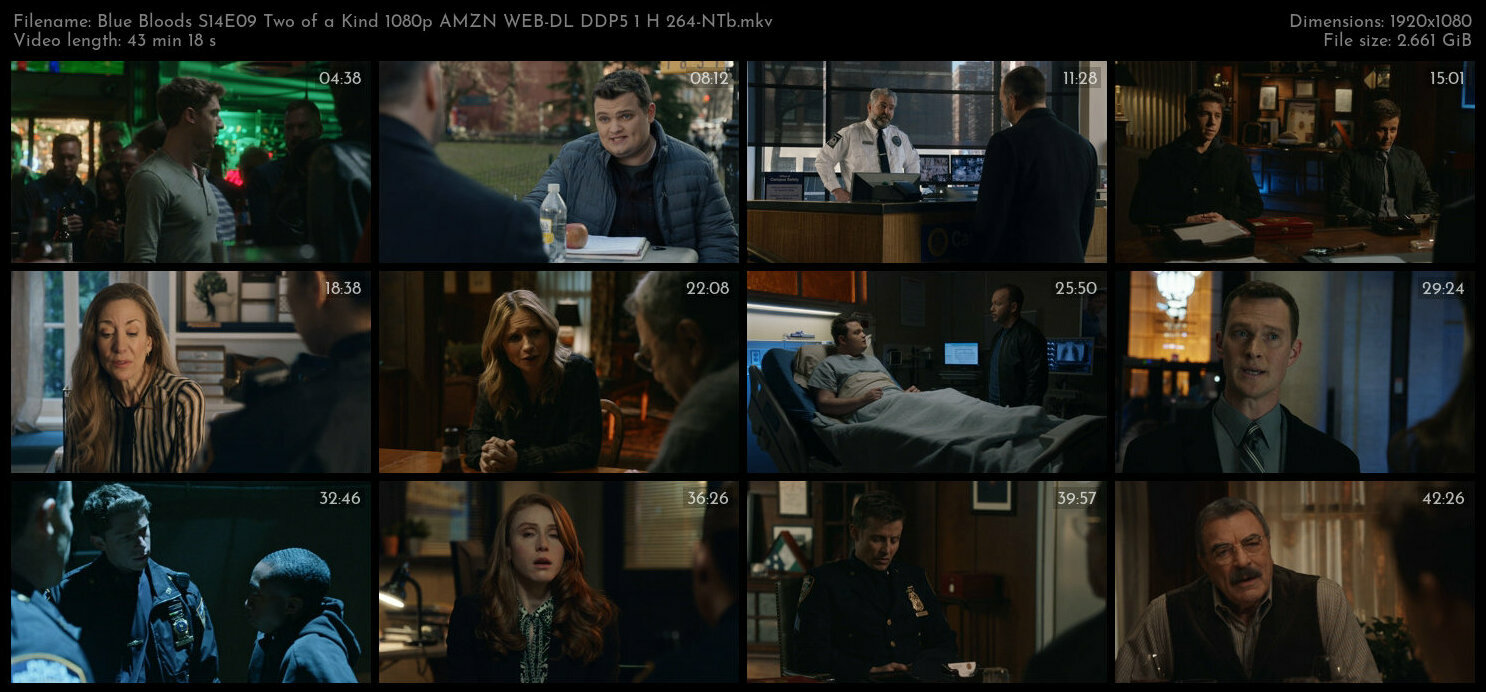 Blue Bloods S14E09 Two of a Kind 1080p AMZN WEB DL DDP5 1 H 264 NTb TGx