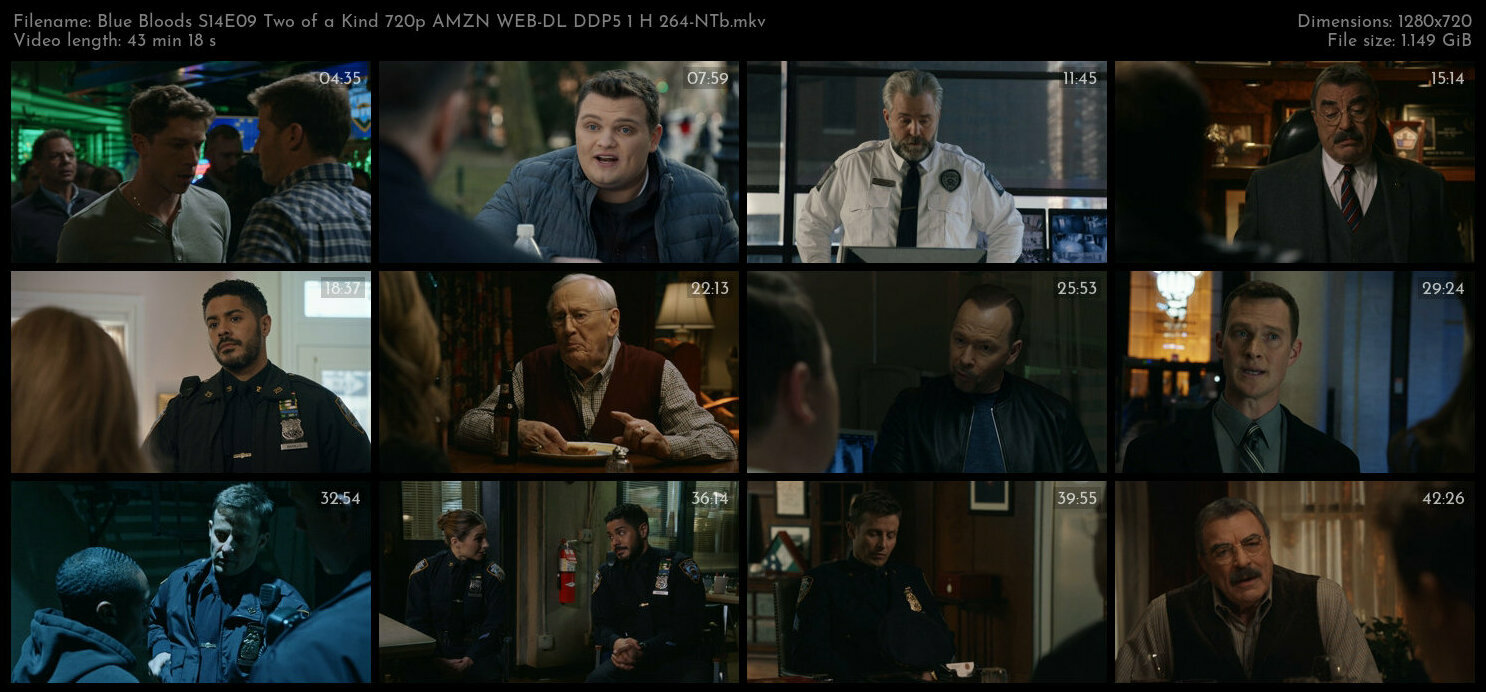 Blue Bloods S14E09 Two of a Kind 720p AMZN WEB DL DDP5 1 H 264 NTb TGx