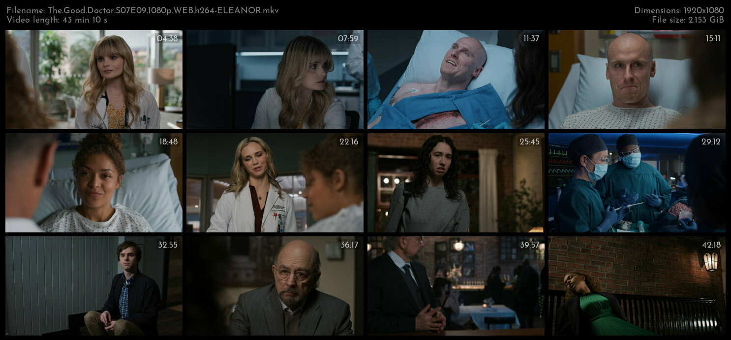 The Good Doctor S07E09 1080p WEB h264 ELEANOR TGx