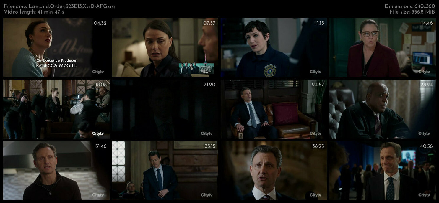 Law and Order S23E13 XviD AFG TGx