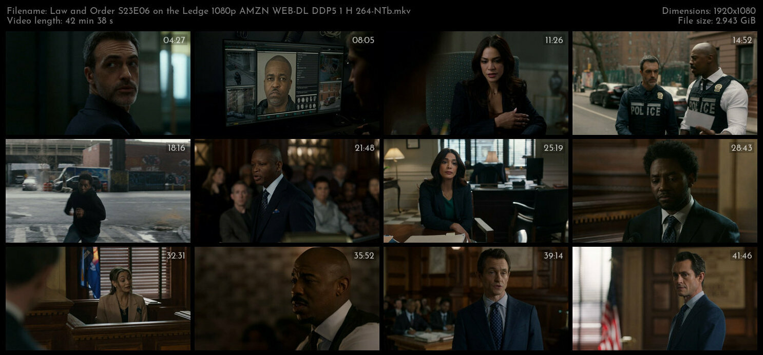 Law and Order S23E06 on the Ledge 1080p AMZN WEB DL DDP5 1 H 264 NTb TGx