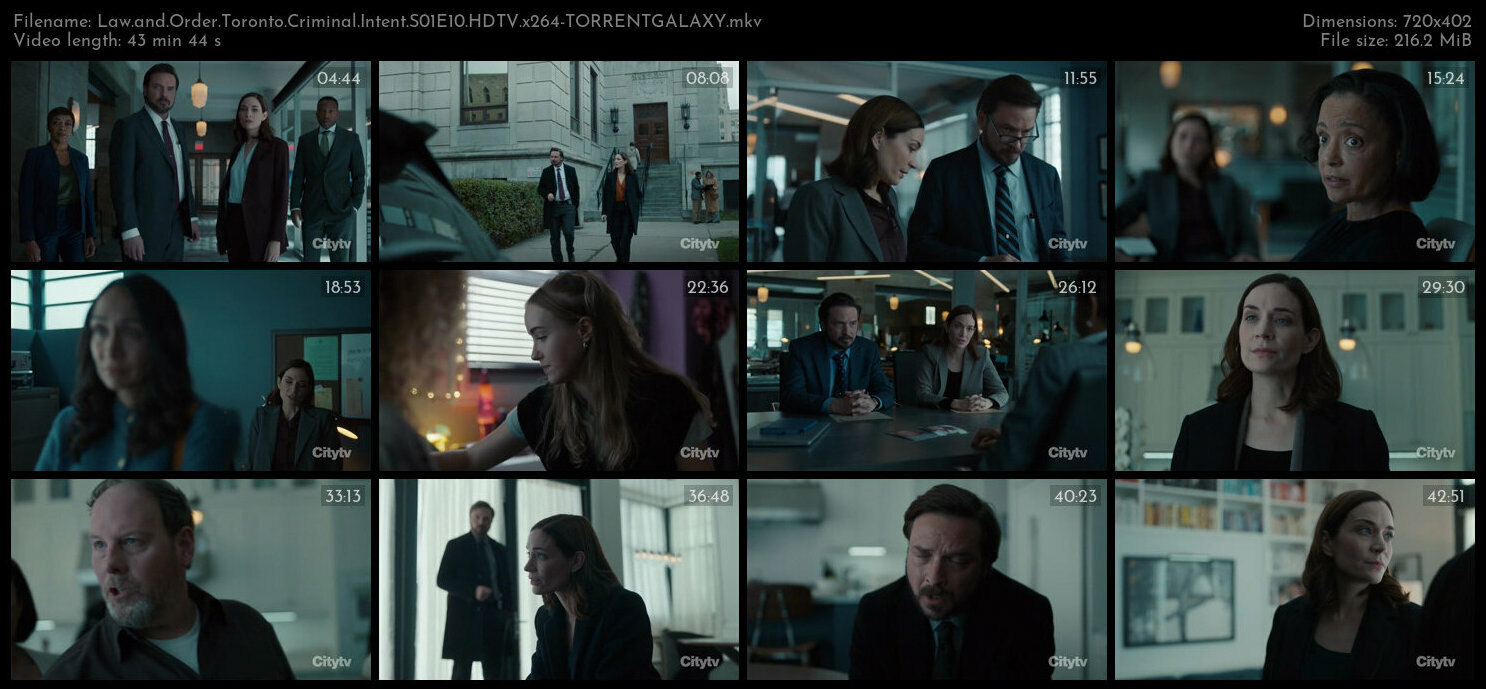 Law and Order Toronto Criminal Intent S01E10 HDTV x264 TORRENTGALAXY