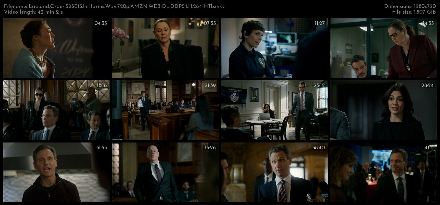 Law and Order S23E13 In Harms Way 720p AMZN WEB DL DDP5 1 H 264 NTb TGx