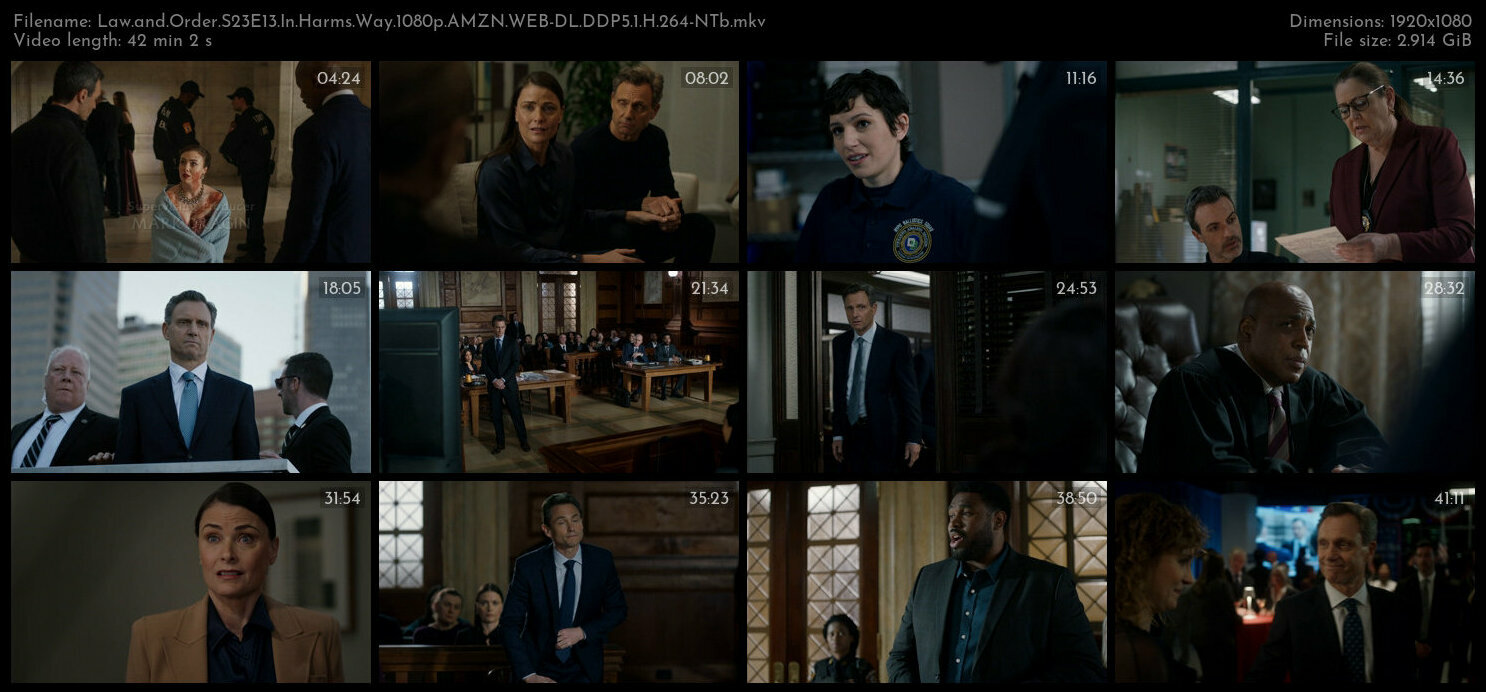 Law and Order S23E13 In Harms Way 1080p AMZN WEB DL DDP5 1 H 264 NTb TGx