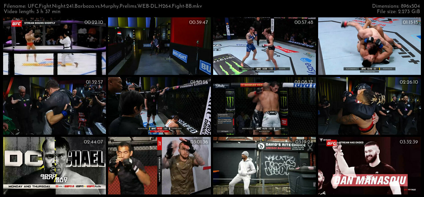 UFC Fight Night 241 Barboza vs Murphy Prelims WEB DL H264 Fight BB