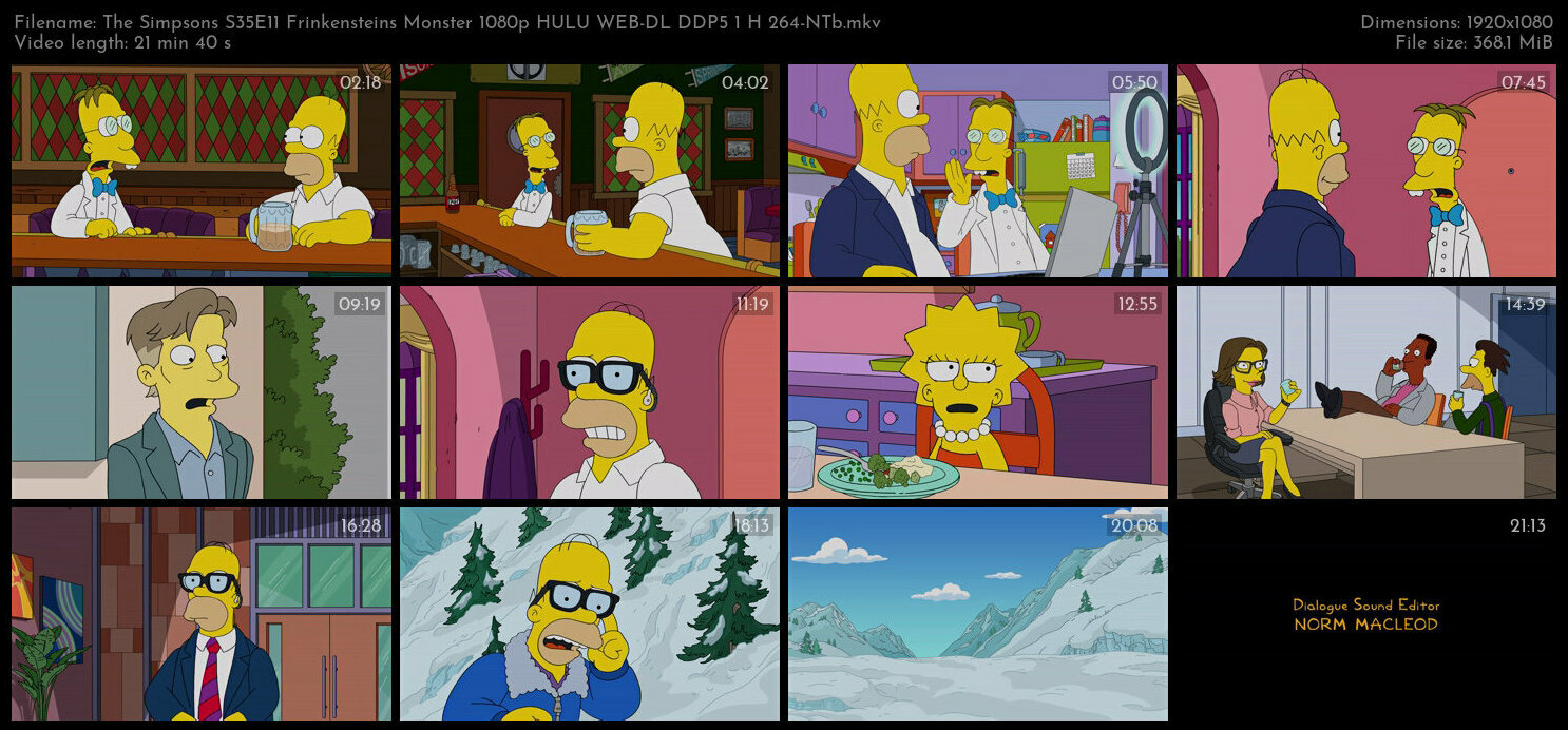 The Simpsons S35E11 Frinkensteins Monster 1080p HULU WEB DL DDP5 1 H 264 NTb TGx