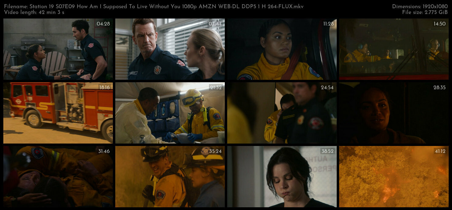 Station 19 S07E09 How Am I Supposed To Live Without You 1080p AMZN WEB DL DDP5 1 H 264 FLUX TGx