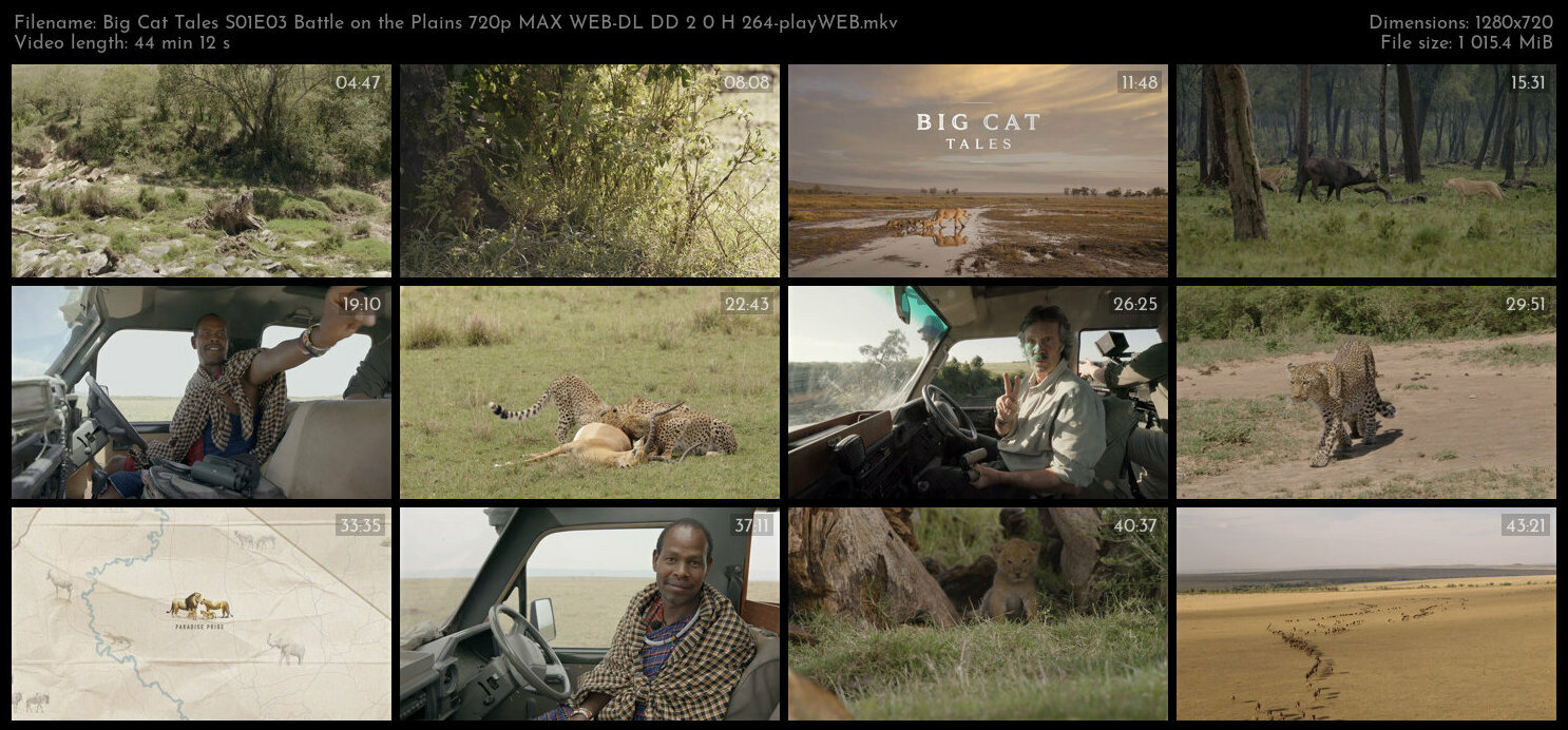 Big Cat Tales S01E03 Battle on the Plains 720p MAX WEB DL DD 2 0 H 264 playWEB TGx