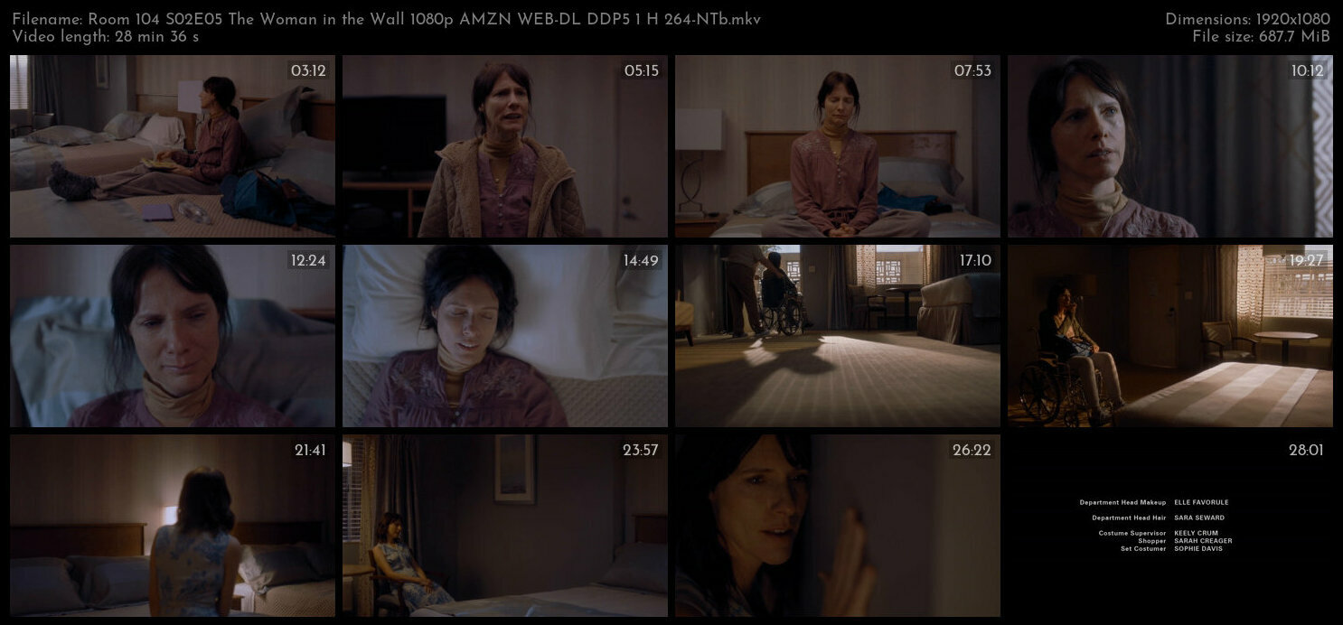 Room 104 S02E05 The Woman in the Wall 1080p AMZN WEB DL DDP5 1 H 264 NTb TGx