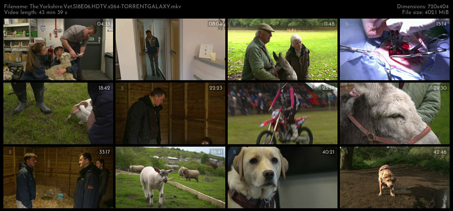 The Yorkshire Vet S18E06 HDTV x264 TORRENTGALAXY