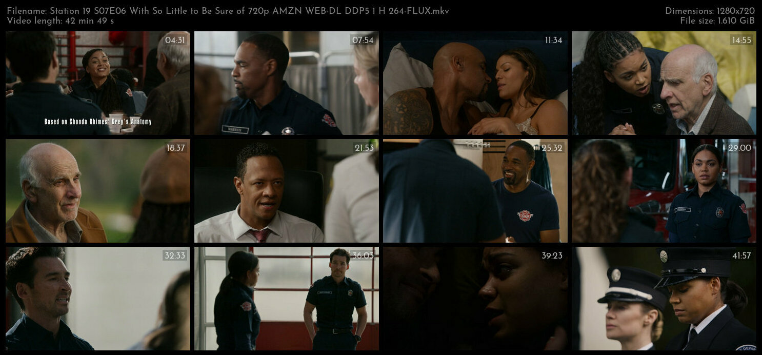 Station 19 S07E06 With So Little to Be Sure of 720p AMZN WEB DL DDP5 1 H 264 FLUX TGx
