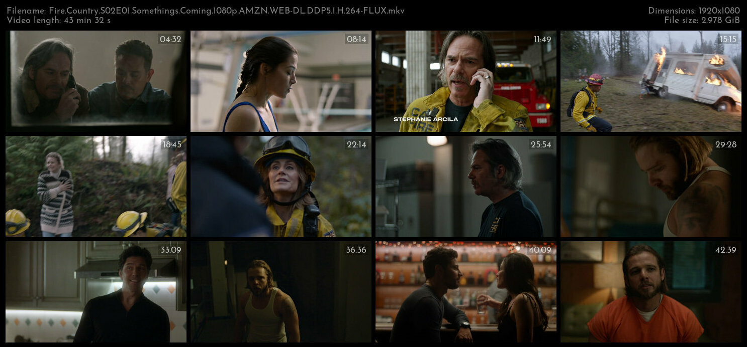 Fire Country S02 COMPLETE 1080p AMZN WEB DL DDP5 1 H 264 FLUX TGx