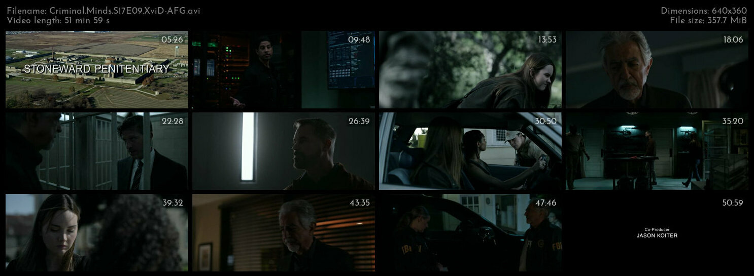 Criminal Minds S17E09 XviD AFG TGx