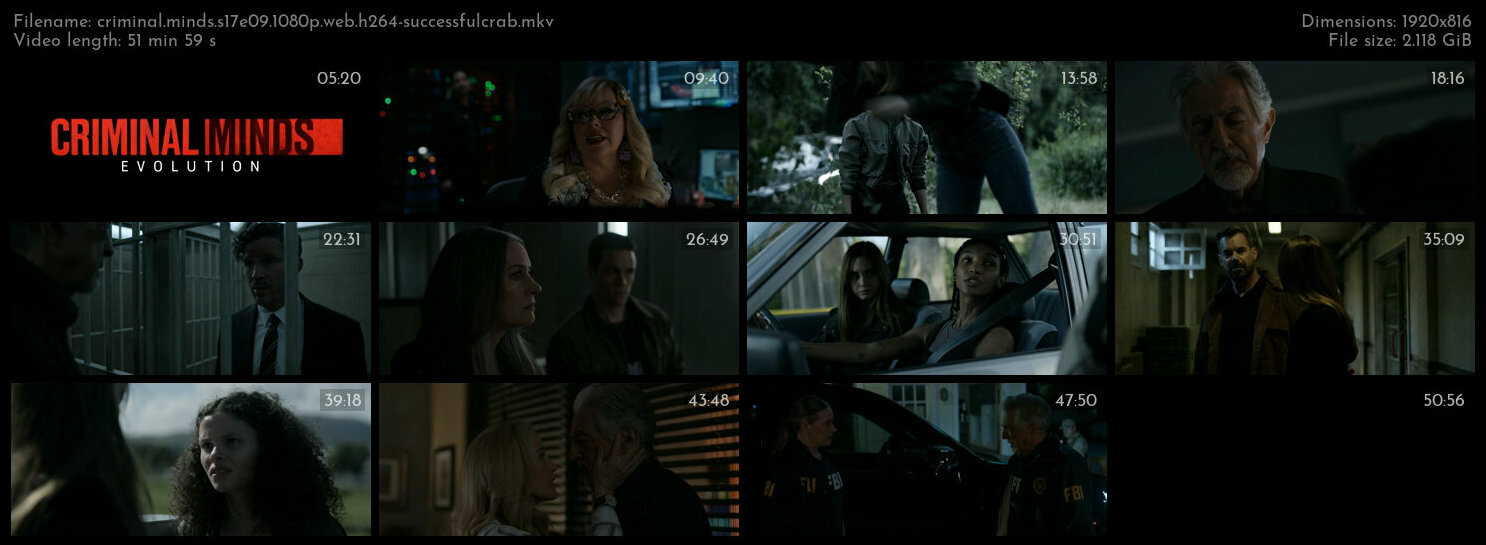 Criminal Minds S17E09 1080p WEB H264 SuccessfulCrab TGx