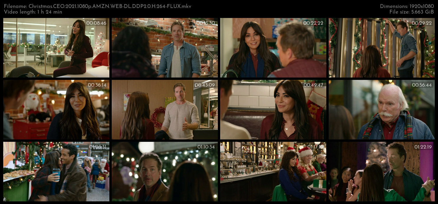 Christmas CEO 2021 1080p AMZN WEB DL DDP2 0 H 264 FLUX TGx