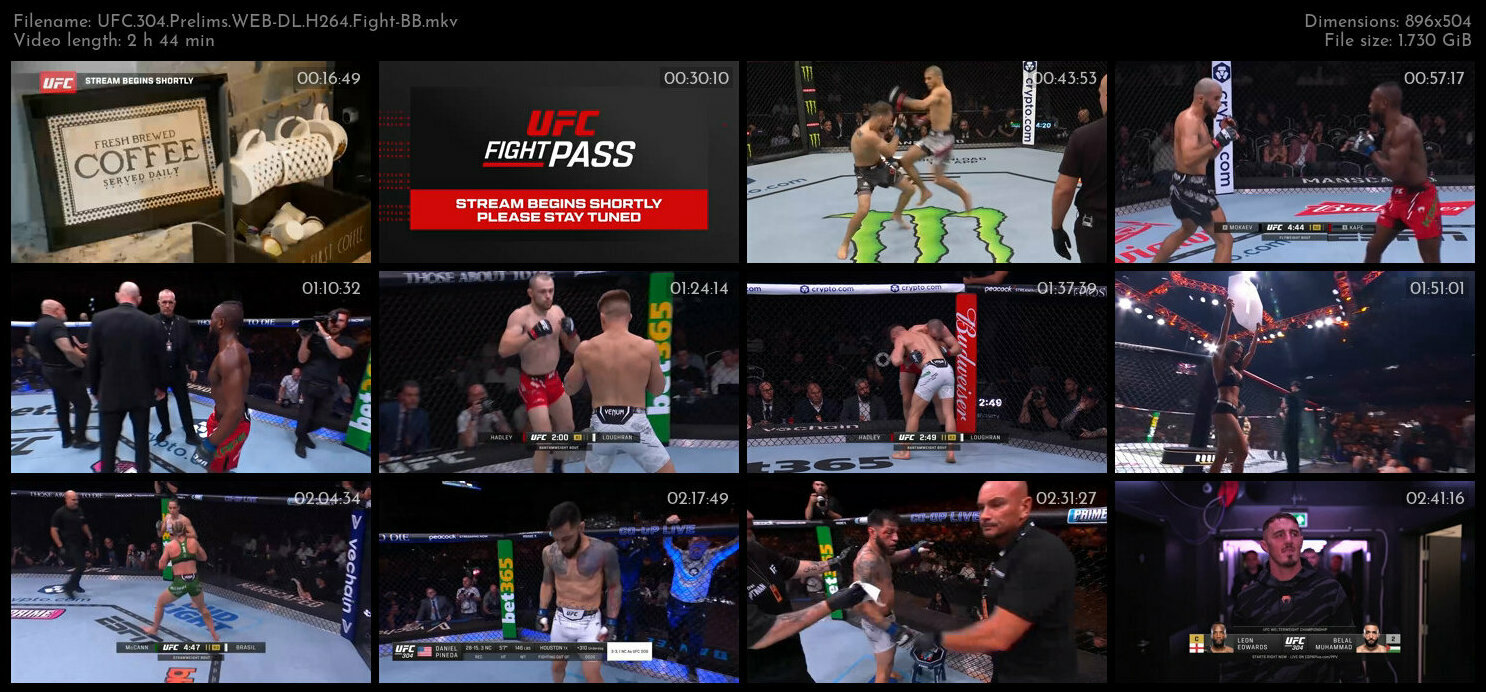 UFC 304 Prelims WEB DL H264 Fight BB