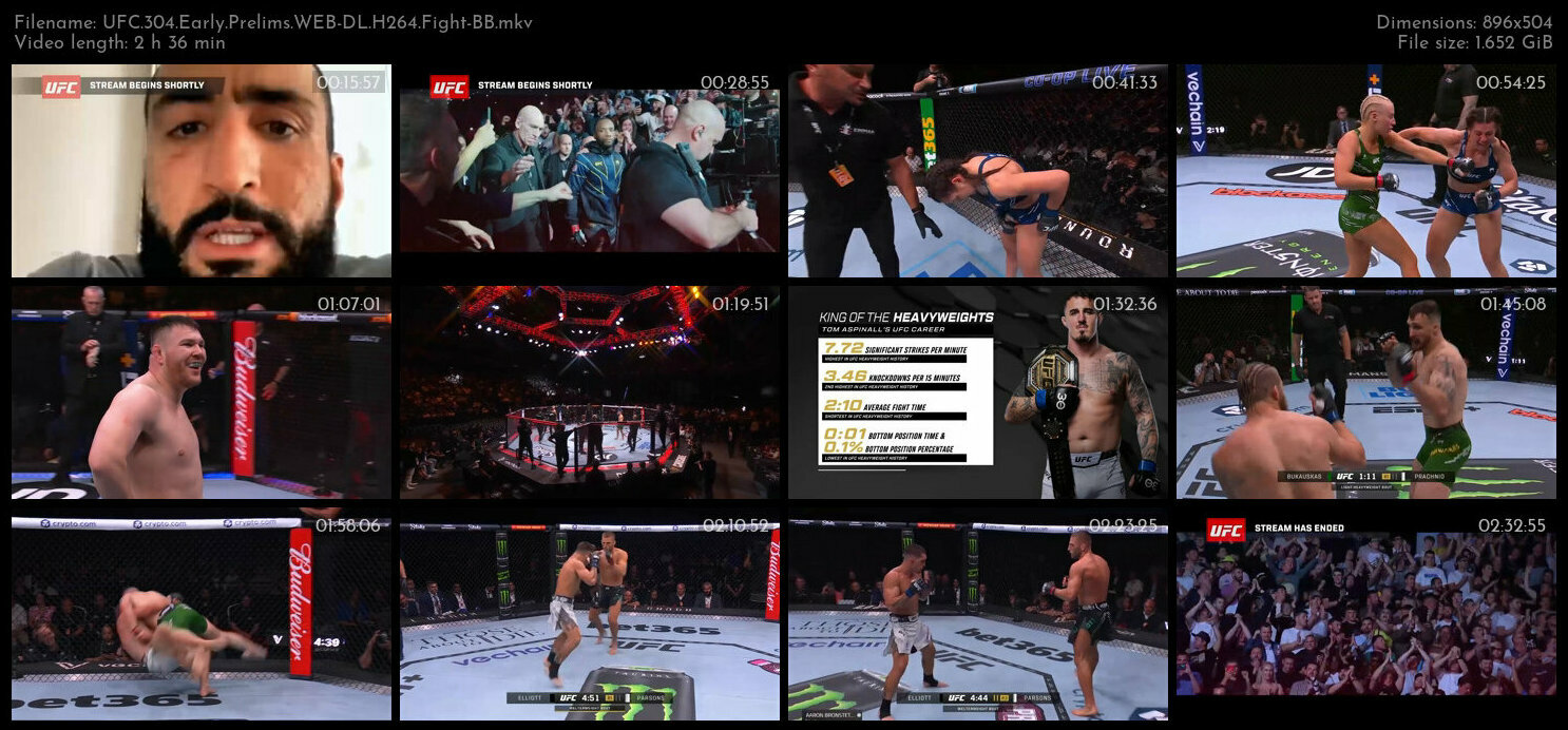 UFC 304 Early Prelims WEB DL H264 Fight BB