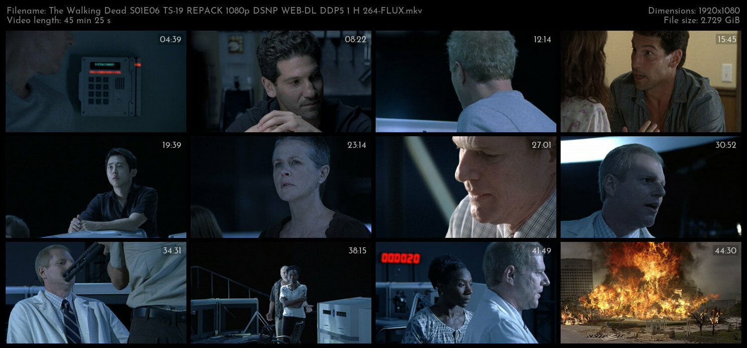 The Walking Dead S01E06 TS 19 REPACK 1080p DSNP WEB DL DDP5 1 H 264 FLUX TGx