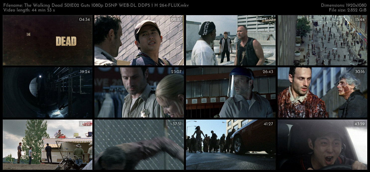 The Walking Dead S01E02 Guts 1080p DSNP WEB DL DDP5 1 H 264 FLUX TGx