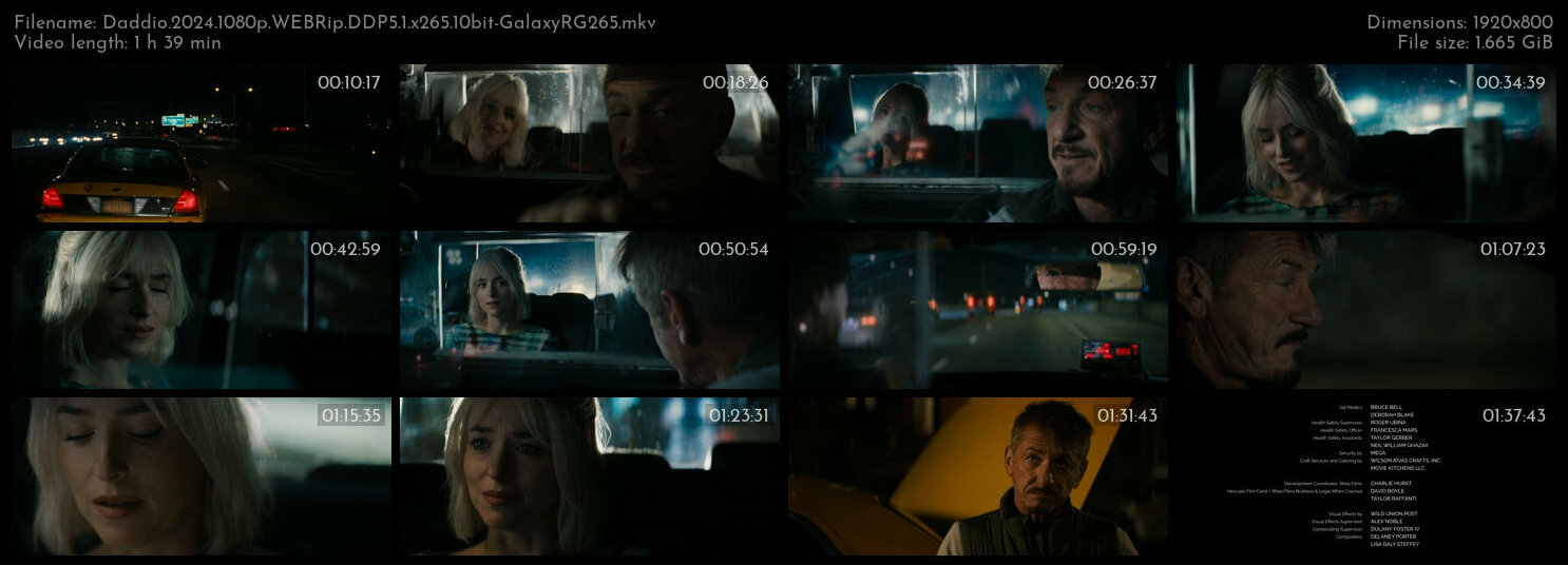 Daddio 2024 1080p WEBRip DDP5 1 x265 10bit GalaxyRG265