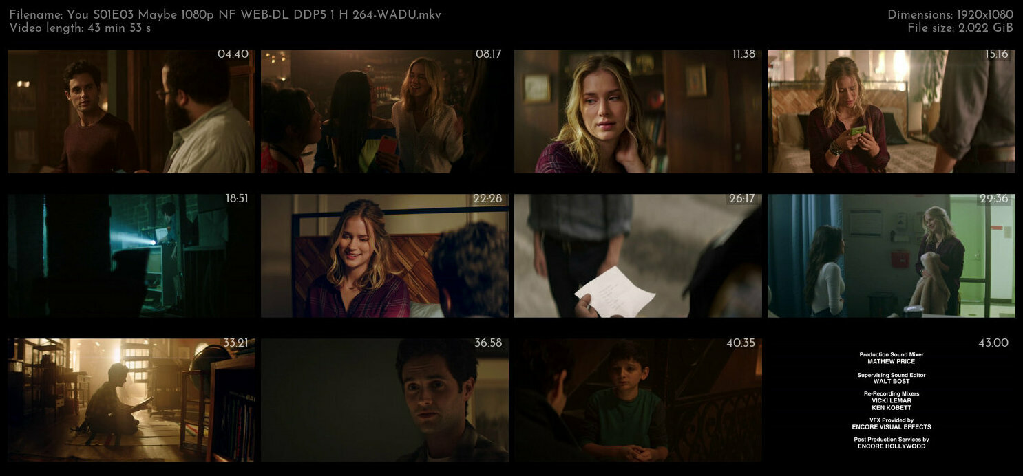 You S01E03 Maybe 1080p NF WEB DL DDP5 1 H 264 WADU TGx