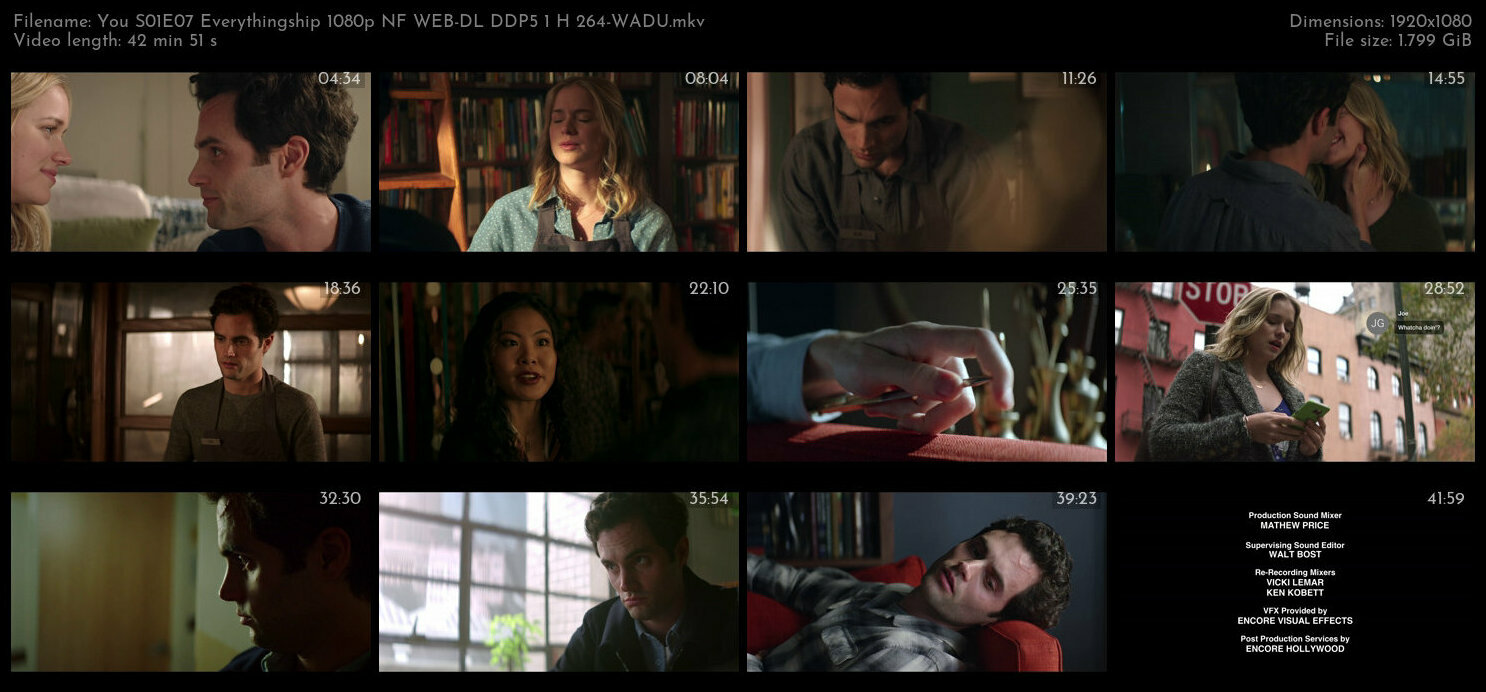 You S01E07 Everythingship 1080p NF WEB DL DDP5 1 H 264 WADU TGx