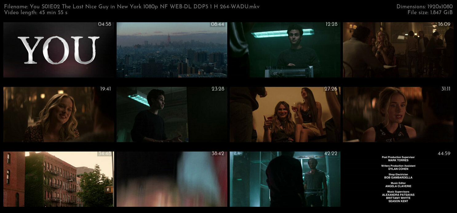 You S01E02 The Last Nice Guy in New York 1080p NF WEB DL DDP5 1 H 264 WADU TGx