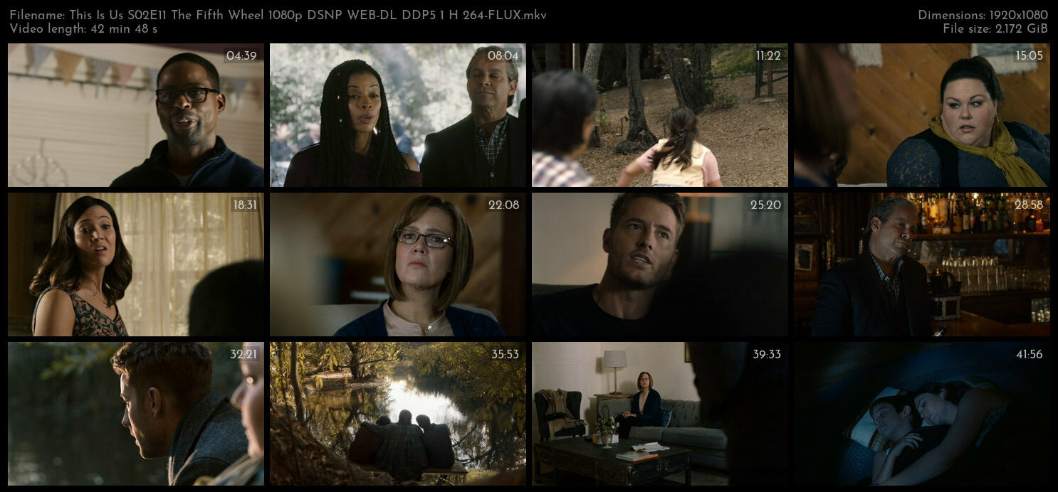 This Is Us S02E11 The Fifth Wheel 1080p DSNP WEB DL DDP5 1 H 264 FLUX TGx