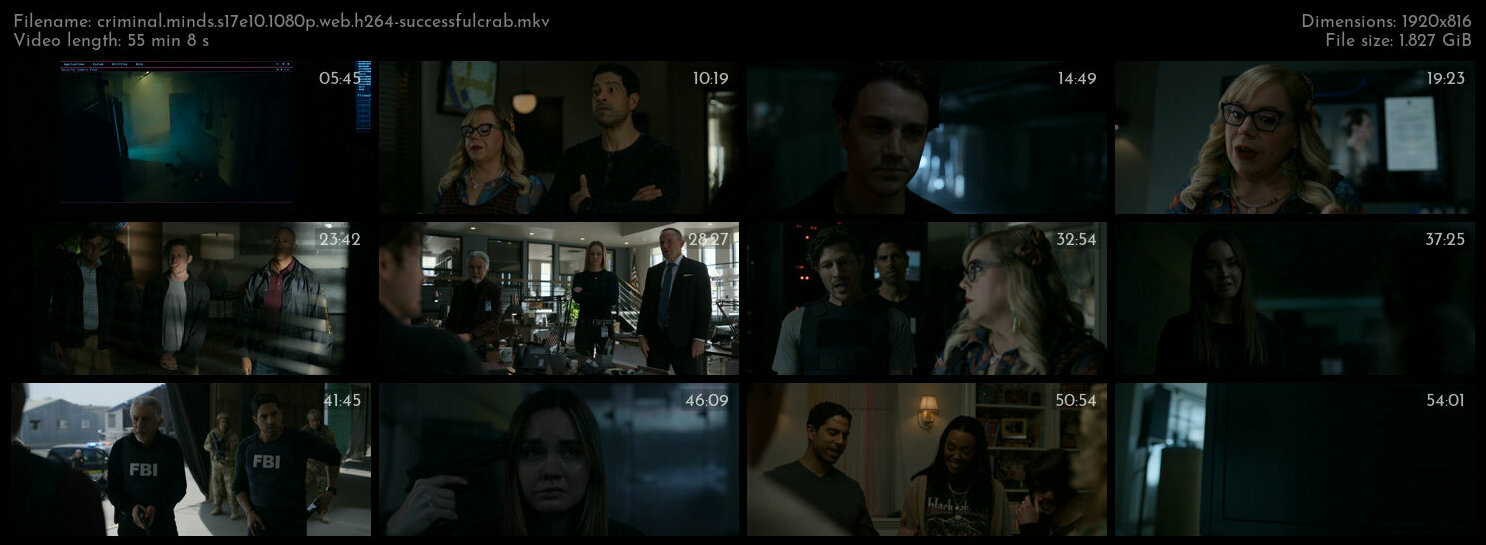 Criminal Minds S17E10 1080p WEB H264 SuccessfulCrab TGx