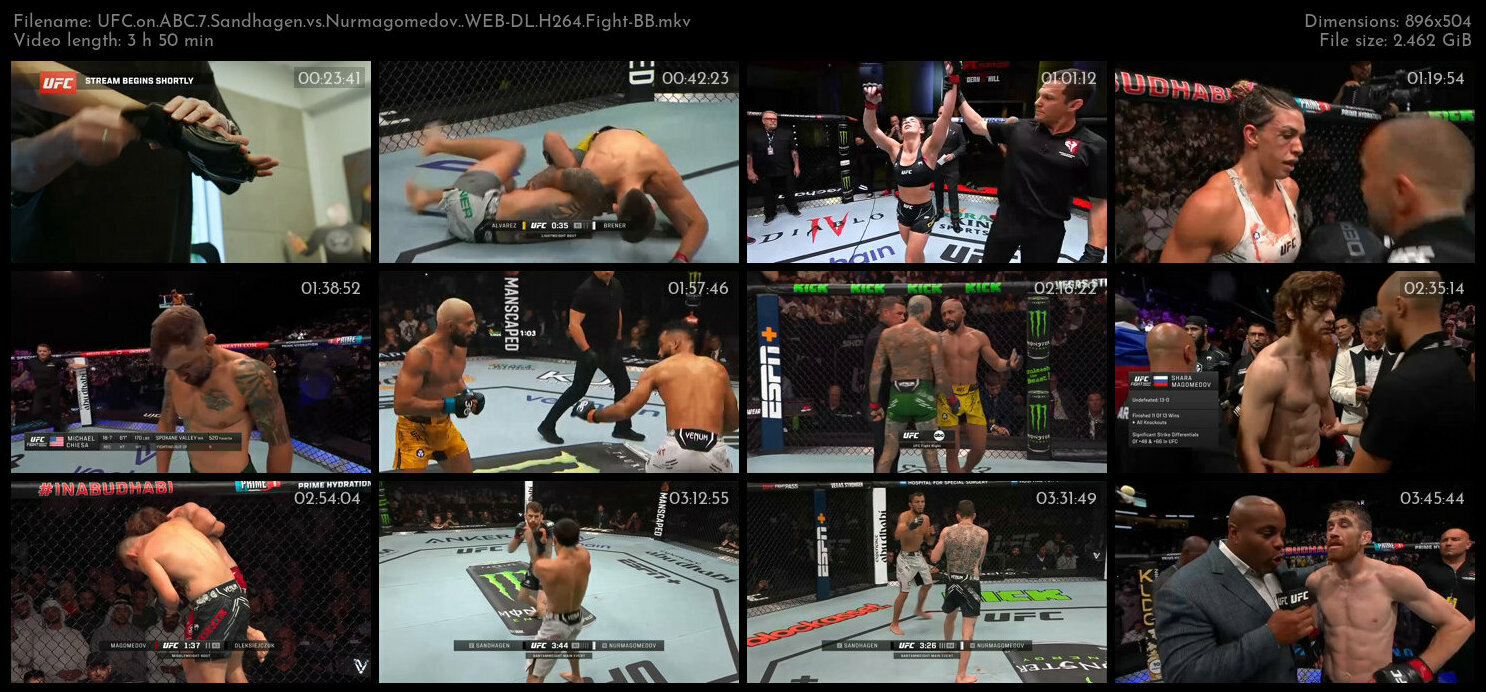 UFC on ABC 7 Sandhagen vs Nurmagomedov WEB DL H264 Fight BB