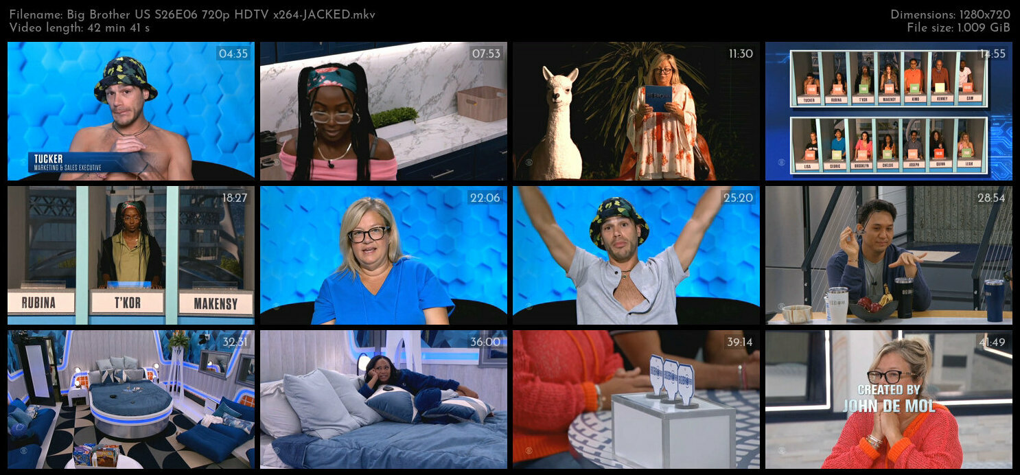 Big Brother US S26E06 720p HDTV x264 JACKED TGx