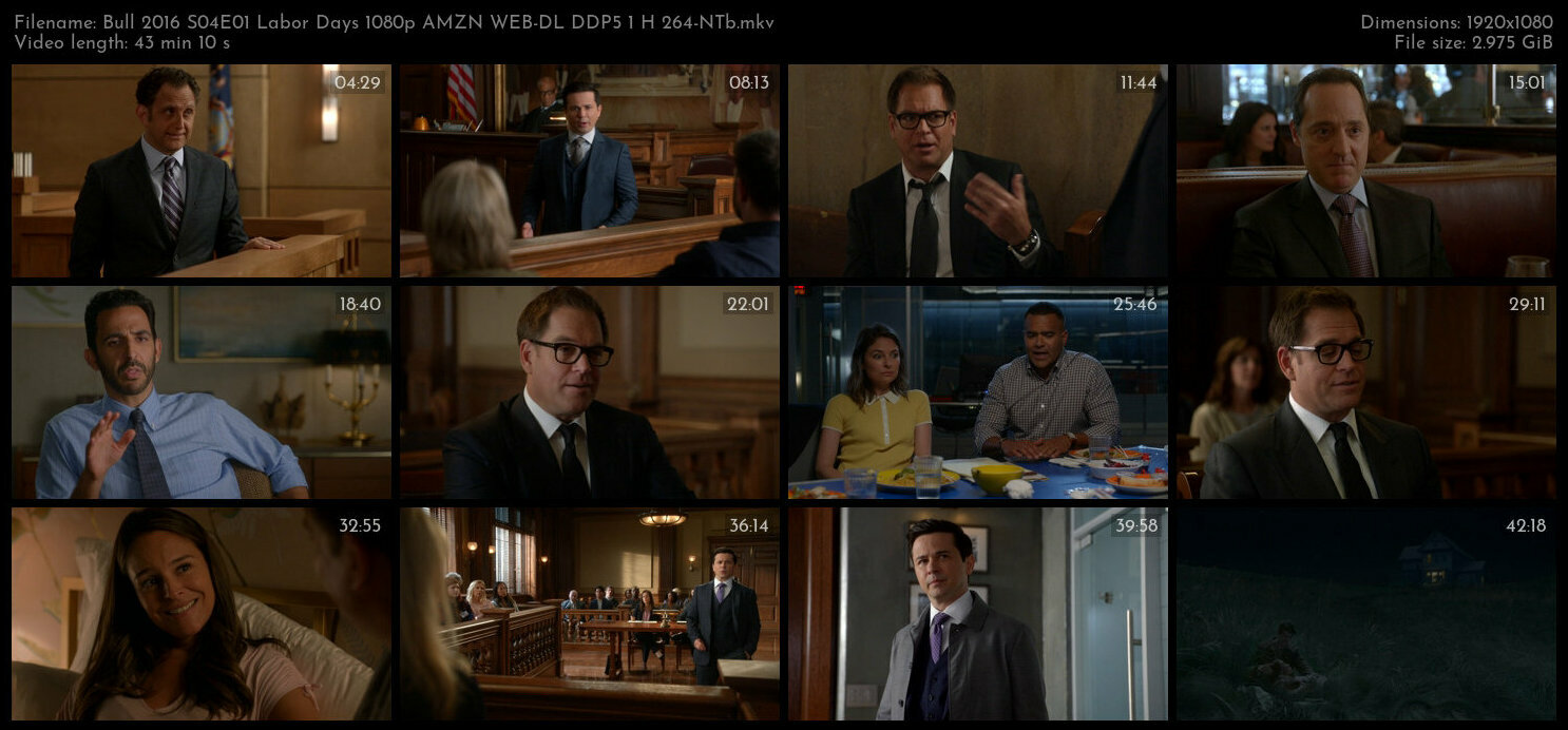 Bull 2016 S04E01 Labor Days 1080p AMZN WEB DL DDP5 1 H 264 NTb TGx