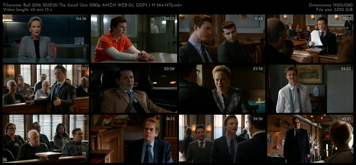 Bull 2016 S03E20 The Good One 1080p AMZN WEB DL DDP5 1 H 264 NTb TGx