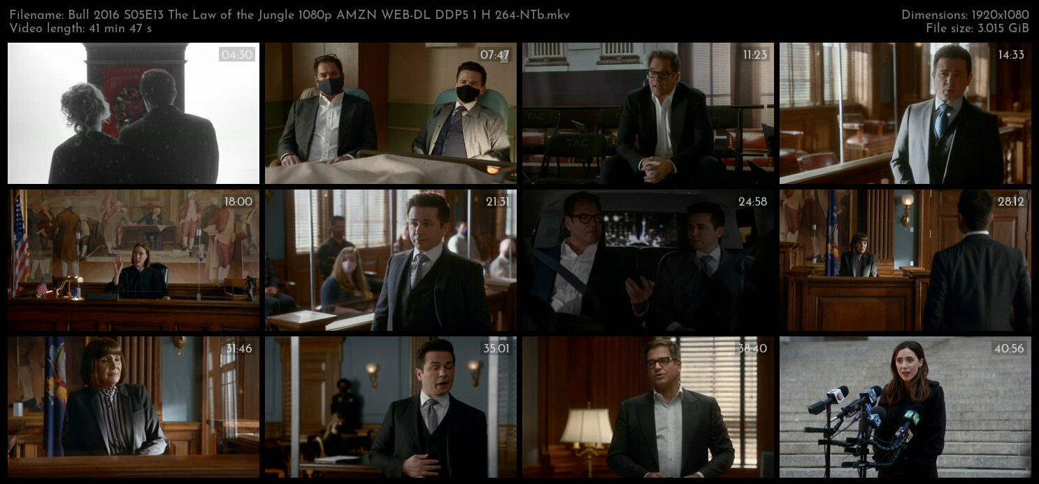 Bull 2016 S05E13 The Law of the Jungle 1080p AMZN WEB DL DDP5 1 H 264 NTb TGx