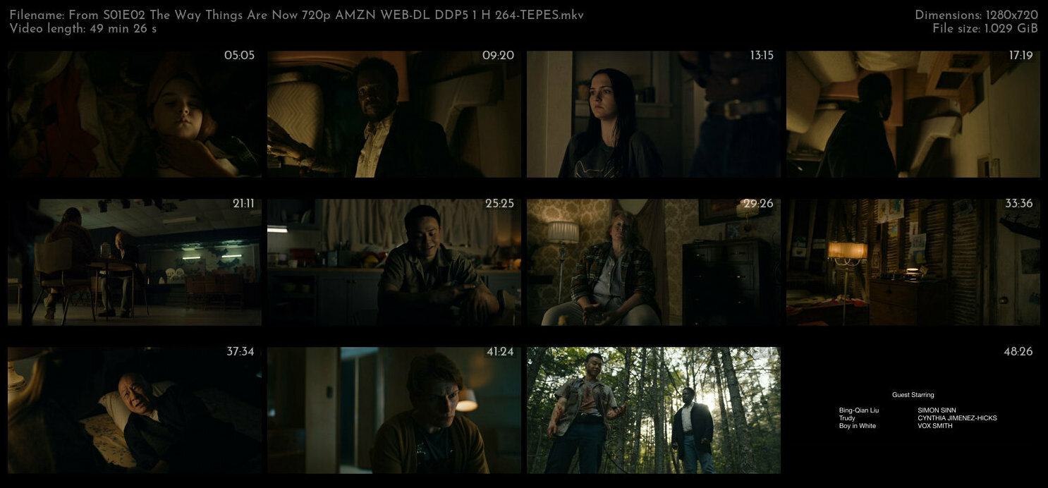 From S01E02 The Way Things Are Now 720p AMZN WEB DL DDP5 1 H 264 TEPES TGx