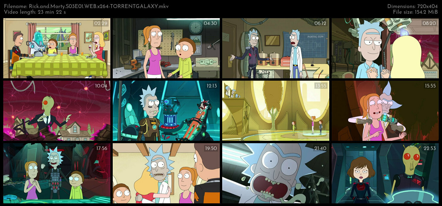 Rick and Morty S03E01 WEB x264 TORRENTGALAXY