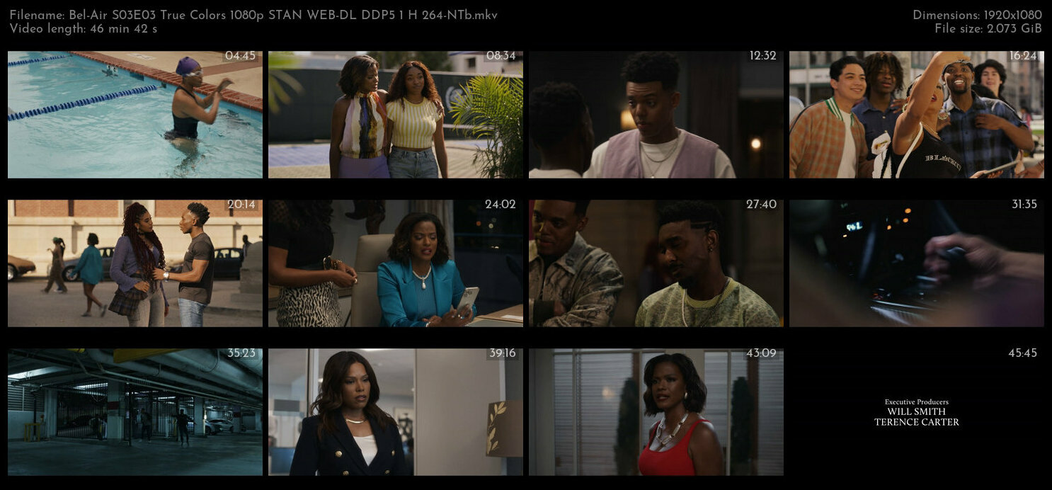 Bel Air S03E03 True Colors 1080p STAN WEB DL DDP5 1 H 264 NTb TGx