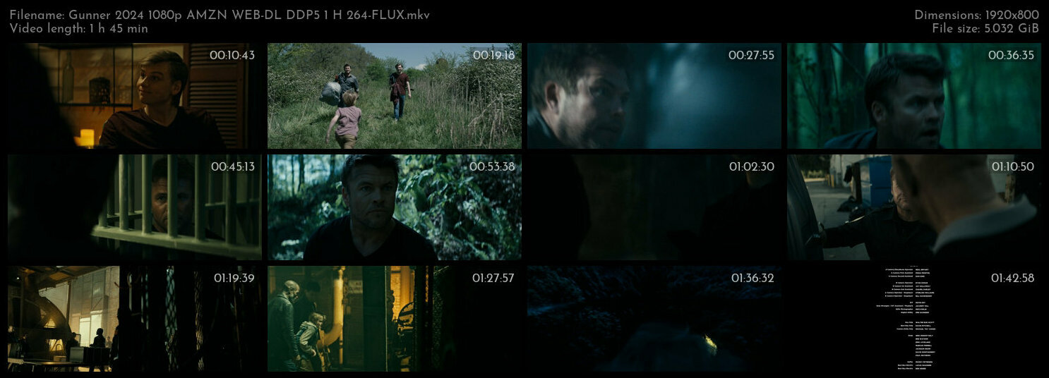 Gunner 2024 1080p AMZN WEB DL DDP5 1 H 264 FLUX TGx