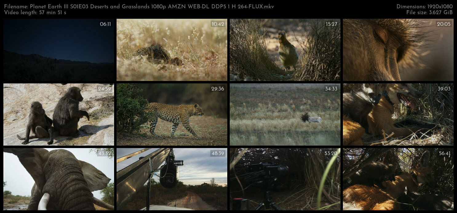 Planet Earth III S01E03 Deserts and Grasslands 1080p AMZN WEB DL DDP5 1 H 264 FLUX TGx