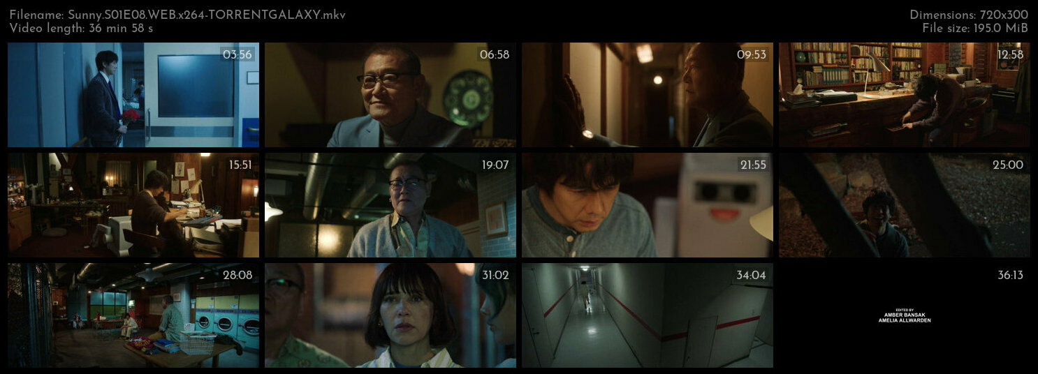 Sunny S01E08 WEB x264 TORRENTGALAXY