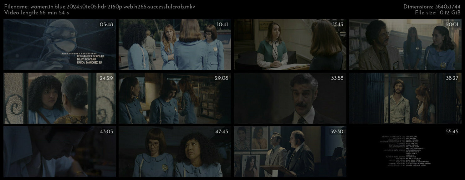 Women in Blue 2024 S01E05 HDR 2160p WEB H265 SuccessfulCrab TGx