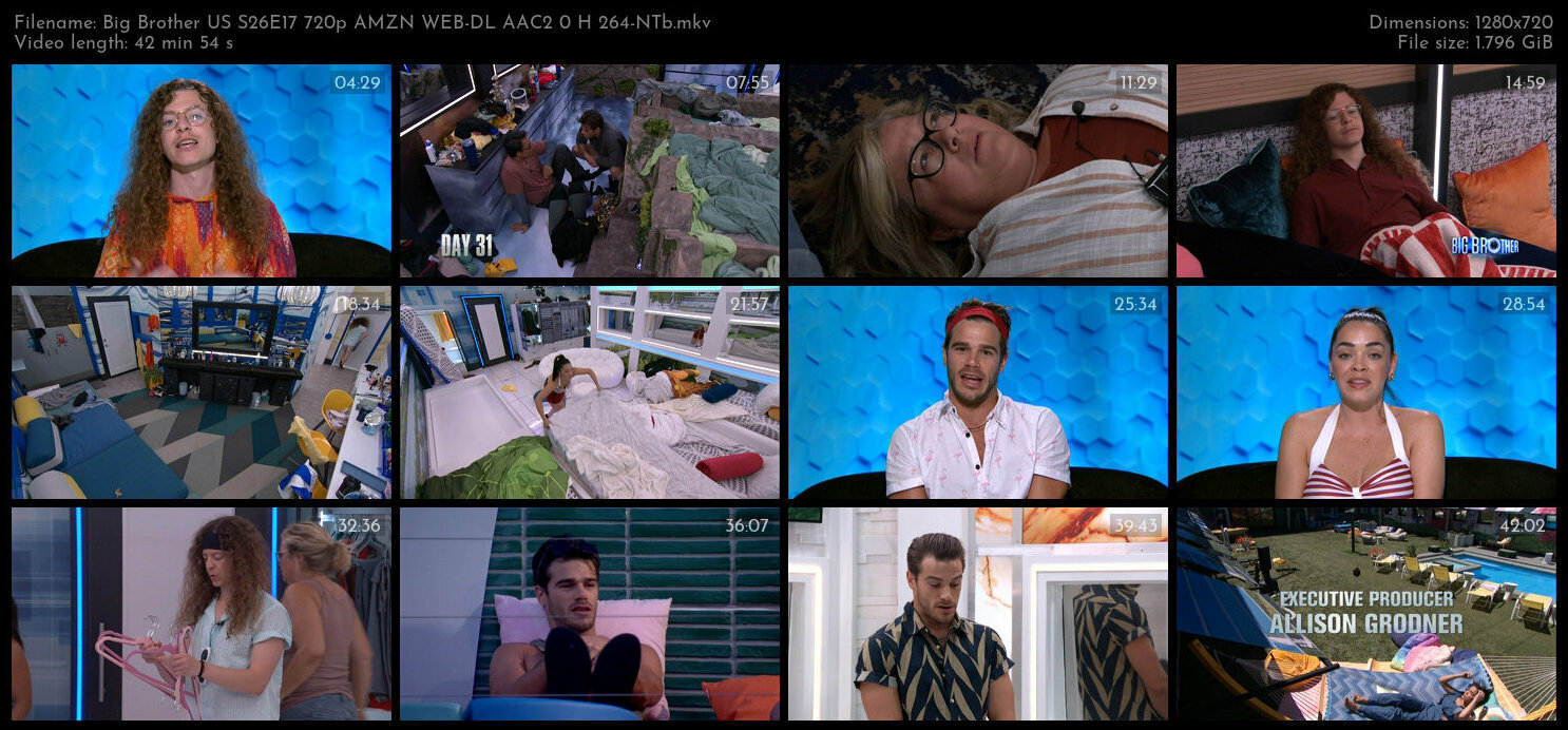 Big Brother US S26E17 720p AMZN WEB DL AAC2 0 H 264 NTb TGx