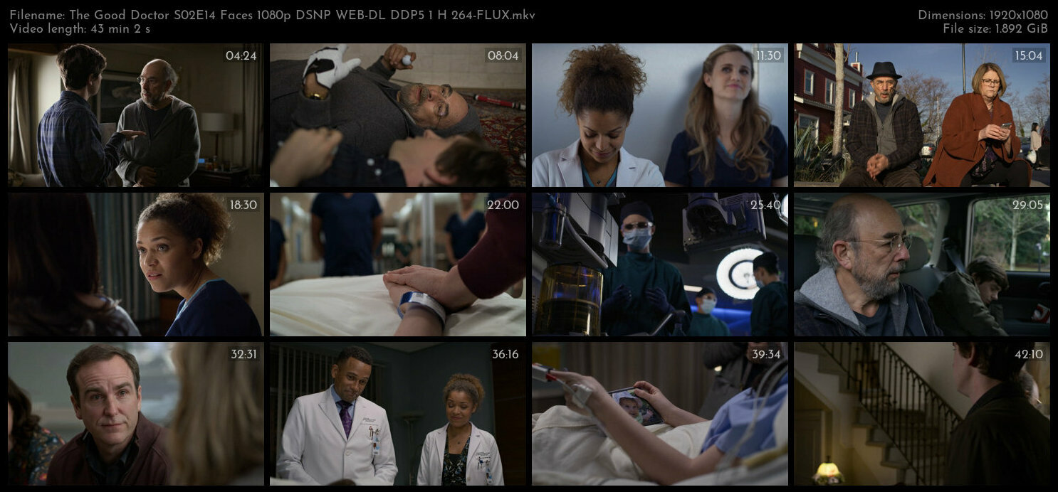 The Good Doctor S02E14 Faces 1080p DSNP WEB DL DDP5 1 H 264 FLUX TGx