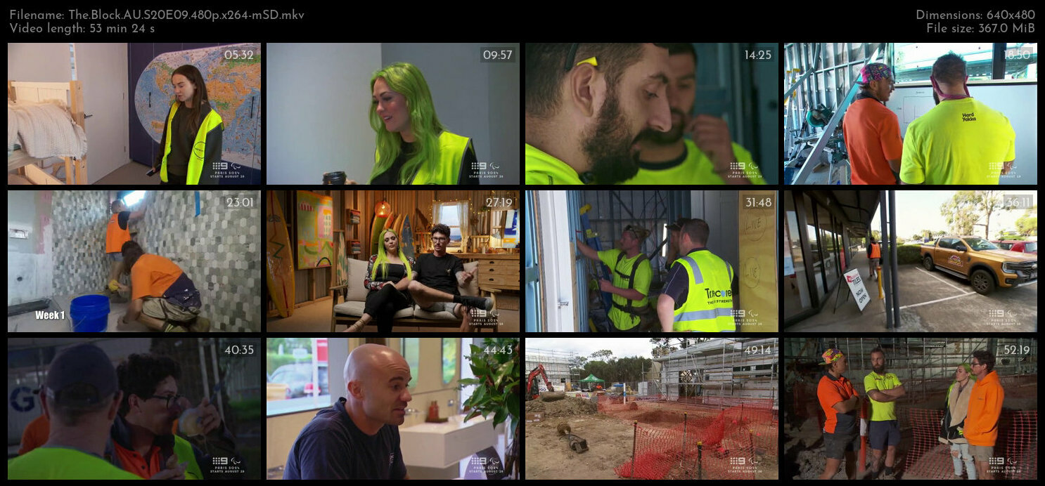 The Block AU S20E09 480p x264 mSD TGx