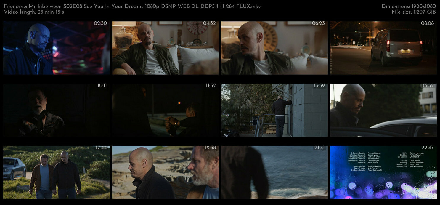 Mr Inbetween S02E08 See You In Your Dreams 1080p DSNP WEB DL DDP5 1 H 264 FLUX TGx