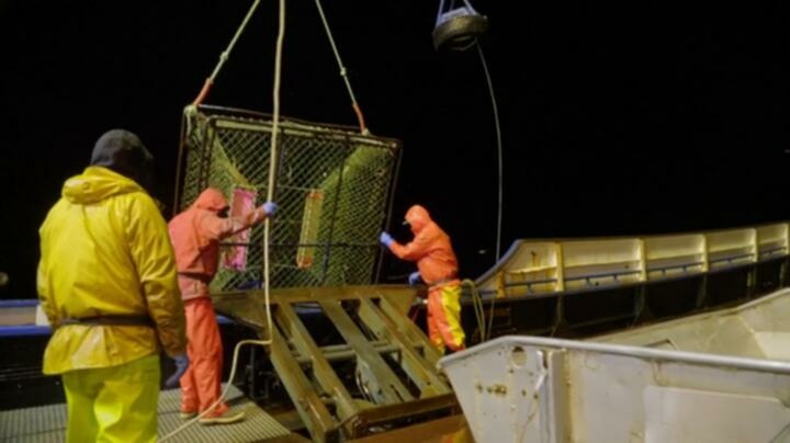 Deadliest Catch S20E11 WEB x264 TORRENTGALAXY